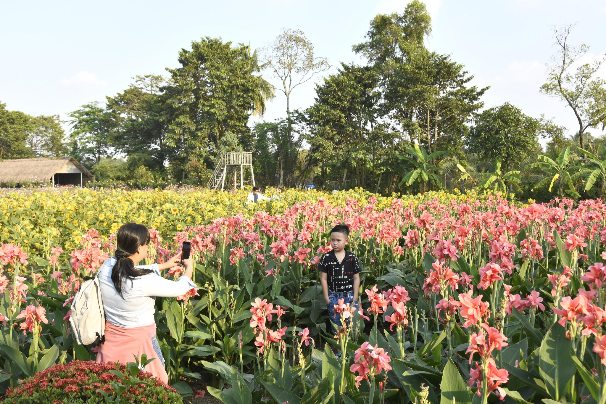 The peaceful and colorful atmosphere